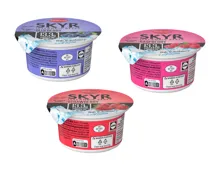 Skyr fruchtunterlegt