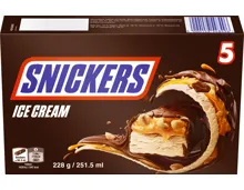 Snickers Ice Cream