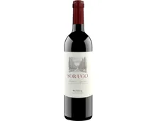 Sor Ugo Bolgheri Superiore (2023) – Rotwein, Italien (0.75l)