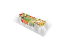 SPAR Golddotter-Eier