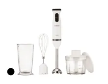 Stabmixer-Set