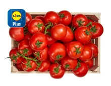 Strauchtomaten
