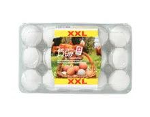 SUISSE GARANTIE Freilandeier XXL
