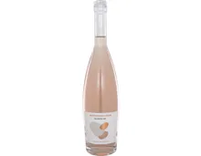 Susumaniello Rosé Salentini 75 cl