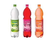 Tamaro gassosa (Aktion nur im Tessin gültig)