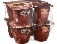 TamTam Flan Schweizer Schokolade