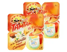 TamTam Nappé Caramel 2x4x100g