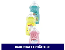 TANDIL GESCHIRRSPÜLMITTEL KONZENTRAT