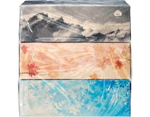 Tela Spa Taschentücher