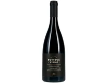 Teroldego Rotaliano DOC Bottega Vinai Cavit (2021) – Rotwein, Italien (0.75l)