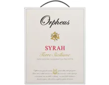 Terre Siciliane IGP Syrah Orpheus Bag in Box – Rotwein, Italien
