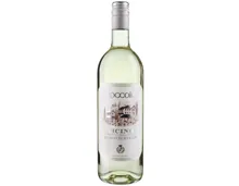 Ticino DOC Bianco di Merlot Roccolo (2025) – Weisswein, Schweiz (0.75l)