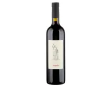 Ticino DOC Merlot Ampelio Carlevaro (2018) – Rotwein, Schweiz (0.75l)