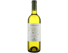 Ticino DOC Merlot Bianco Terre Alte