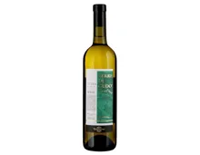 Ticino DOC Merlot Bianco Terre di Gudo (2024) – Weisswein, Schweiz (0.75l)