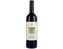 Ticino DOC Merlot Collivo Riserva (2020) – Rotwein, Schweiz (0.75l)