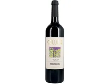 Ticino DOC Merlot Collivo Riserva (2022) – Rotwein, Schweiz (0.75l)