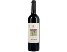 Ticino DOC Merlot Collivo Riserva (2023) – Rotwein, Schweiz (0.75l)