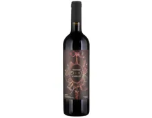 Ticino DOC Merlot Etimo Vinattieri (2022) – Rotwein, Schweiz (0.75l)