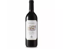 Ticino DOC Merlot Roccolo