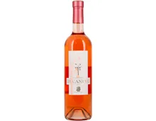 Ticino DOC Merlot Rosato Bucaneve (2024) – Roséwein, Schweiz (0.75l)