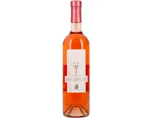 Ticino DOC Merlot Rosato Bucaneve (2025) – Roséwein, Schweiz (0.75l)