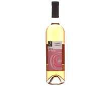 Ticino DOC Merlot Rosato Terra del Sole Cantine Ghidossi (2021) – Roséwein, Schweiz (0.75l)