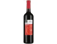 Ticino DOC Merlot Terra del Sole Cantine Ghidossi (2021) – Rotwein, Schweiz (0.75l)