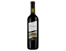 Ticino DOC Vallombrosa Merlot Tamborini (2020) – Rotwein, Schweiz (0.75l)