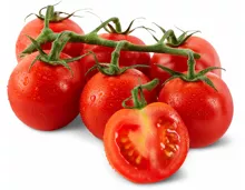 Tomaten Aromatico