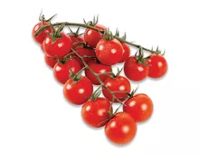 Tomaten Cherry-Rispen