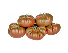 Tomaten Consabor ca. 500g