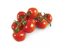Tomaten Rispen