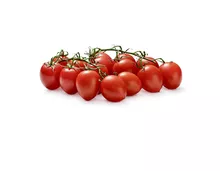 Tomaten Toscanella, Schweiz/Niederlande/Spanien, Packung à 500 g