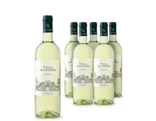 Toscana IGT Bianco Villa Antinori 6x 75cl