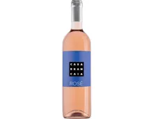 Toscana IGT Merlot Rosé Brancaia (2025) – Roséwein, Italien (0.75l)