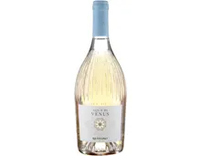 Toscana IGT Rosato Aqua di Venus Ruffino (2024) – Roséwein, Italien (0.75l)