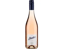 Toscana IGT Rosato Giardino Santa Cristina – Roséwein, Italien (0.75l)