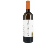 Toscana IGT Santafina Teruzzi (2023) – Weisswein, Italien (0.75l)