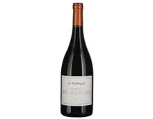 Toscana IGT Syrah Fattoria Le Pupille (2016) – Rotwein, Italien (0.75l)