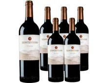 Toscana Monteverro IGT 6x 75cl (2021) – Rotwein, Italien (0.75l)