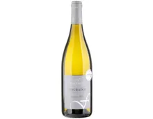 Touraine AOC Sauvignon Blanc Fournier Père et Fils (2025) – Weisswein, Frankreich (0.75l)
