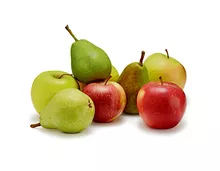 Tragtasche füllen mit Äpfeln und Birnen
