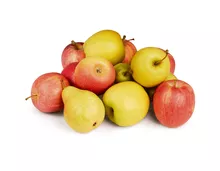 Tragtasche füllen mit diversen Äpfeln und Birnen