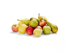 Tragtasche oder Multibag füllen mit diversen Äpfeln und Birnen