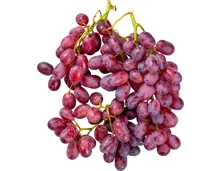 Trauben dunkel