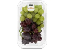 Trauben Mix kernarm