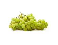 Trauben weiss 1.5kg