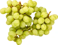 Trauben weiss