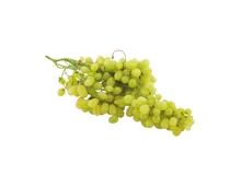 Trauben weiss Sultana kernlos
